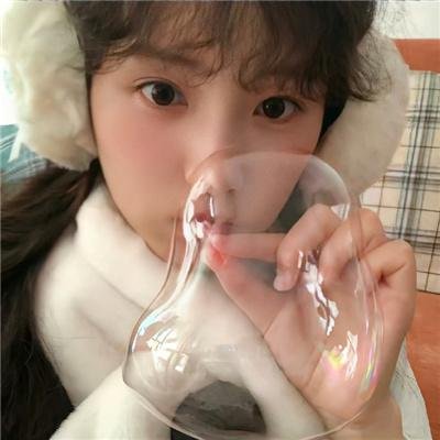 菊石